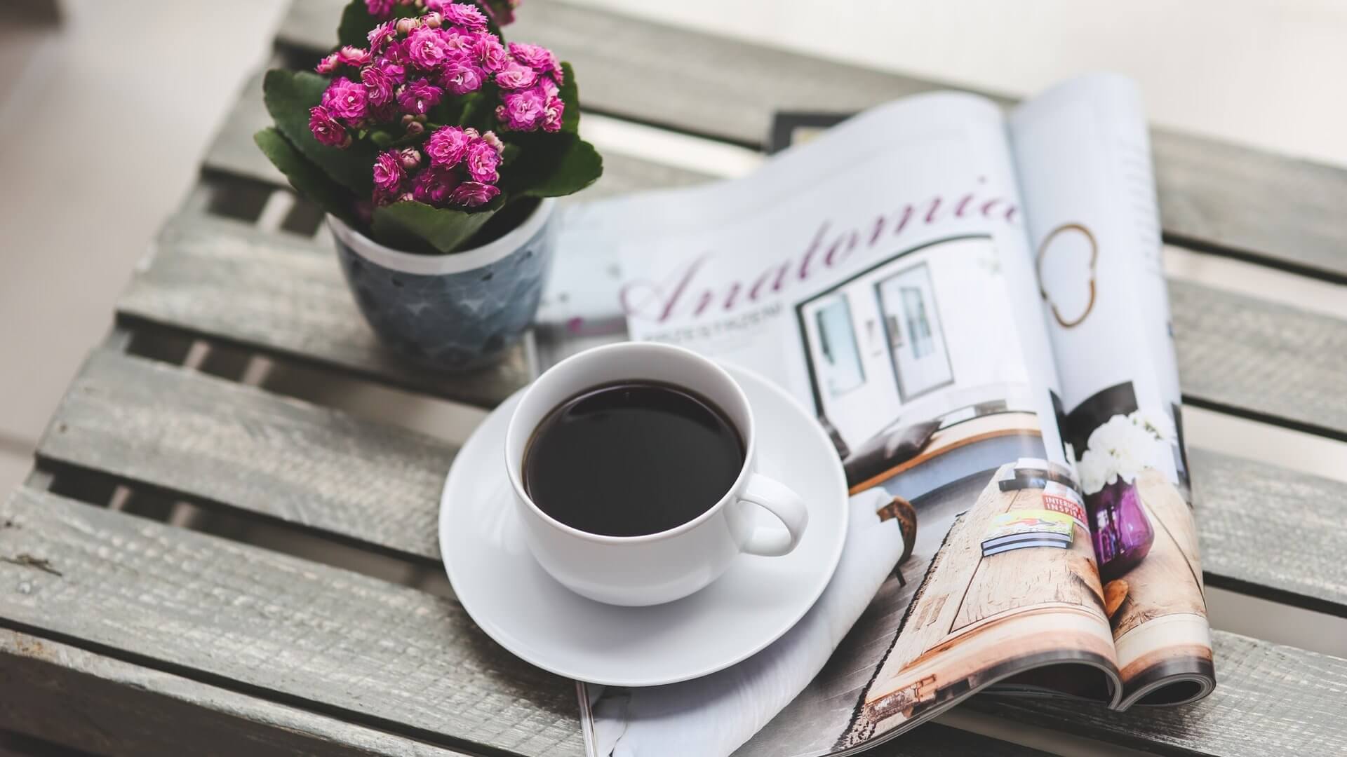 coffee-flower-reading-magazine